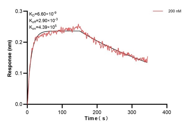 Affinity and Kinetic Characterization of 66914-3-PBS