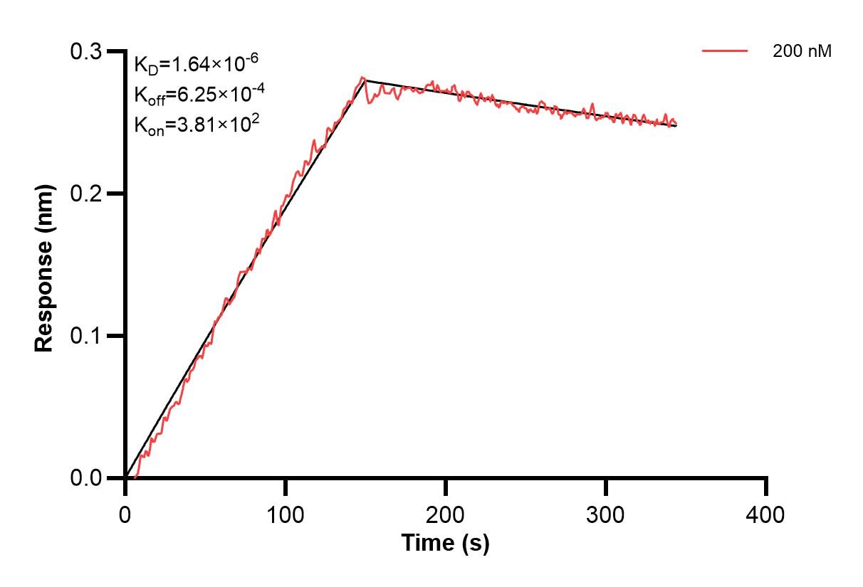 Affinity and Kinetic Characterization of 66992-2-PBS Affinity and Kinetic Characterization of 66992-2-PBS
