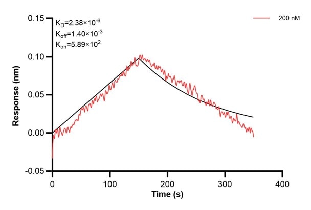 Affinity and Kinetic Characterization of 67008-5-PBS