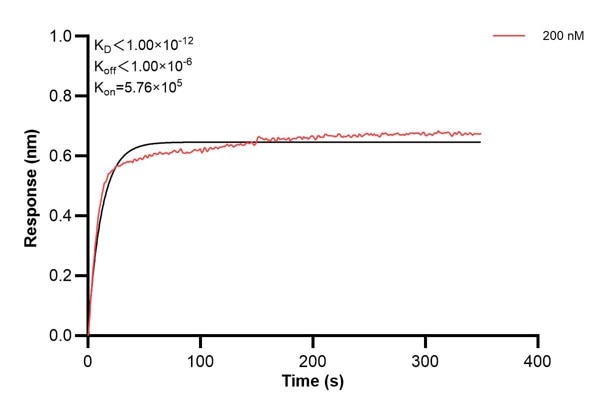 Affinity and Kinetic Characterization of 67016-1-Ig