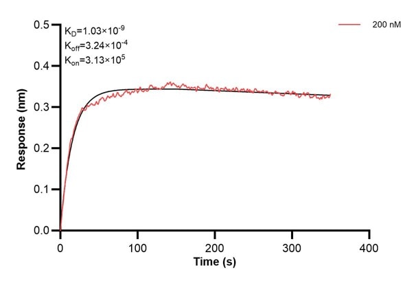 Affinity and Kinetic Characterization of 67016-2-PBS Affinity and Kinetic Characterization of 67016-2-PBS