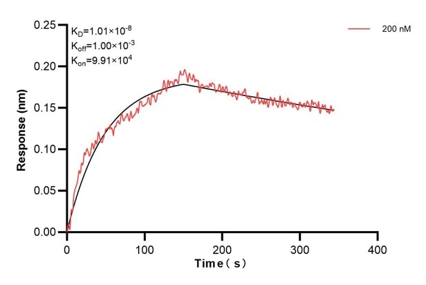 Affinity and Kinetic Characterization of 67018-2-PBS