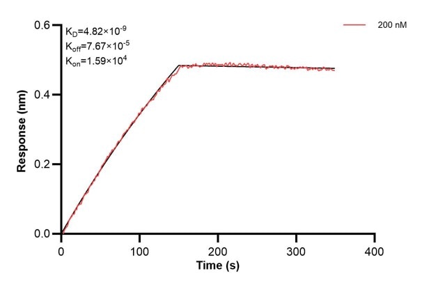 Affinity and Kinetic Characterization of 67038-1-Ig