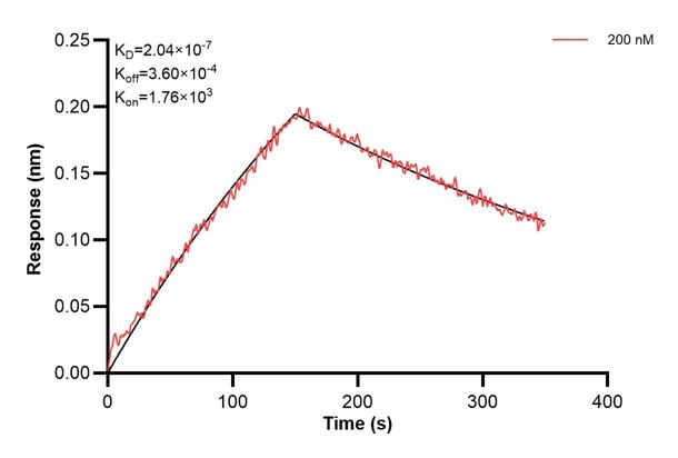 Affinity and Kinetic Characterization of 67057-1-Ig