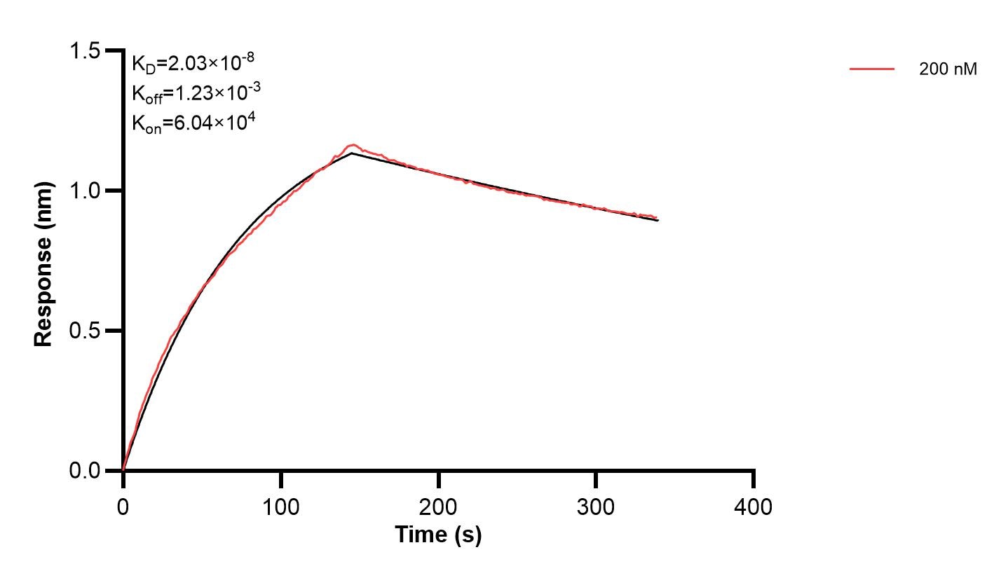 Affinity and Kinetic Characterization of 67063-2-PBS Affinity and Kinetic Characterization of 67063-2-PBS