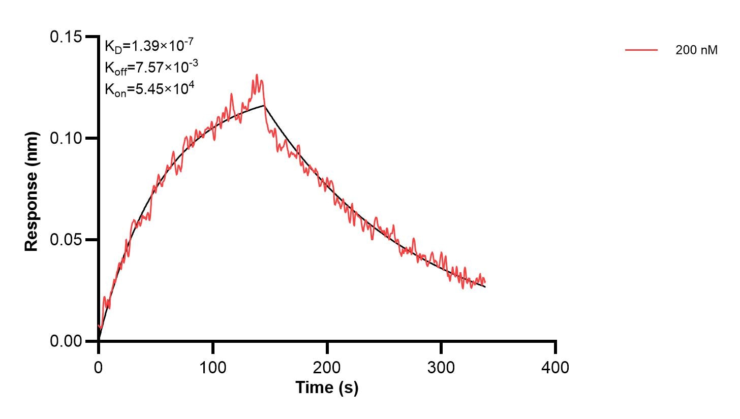 Affinity and Kinetic Characterization of 67063-3-PBS Affinity and Kinetic Characterization of 67063-3-PBS