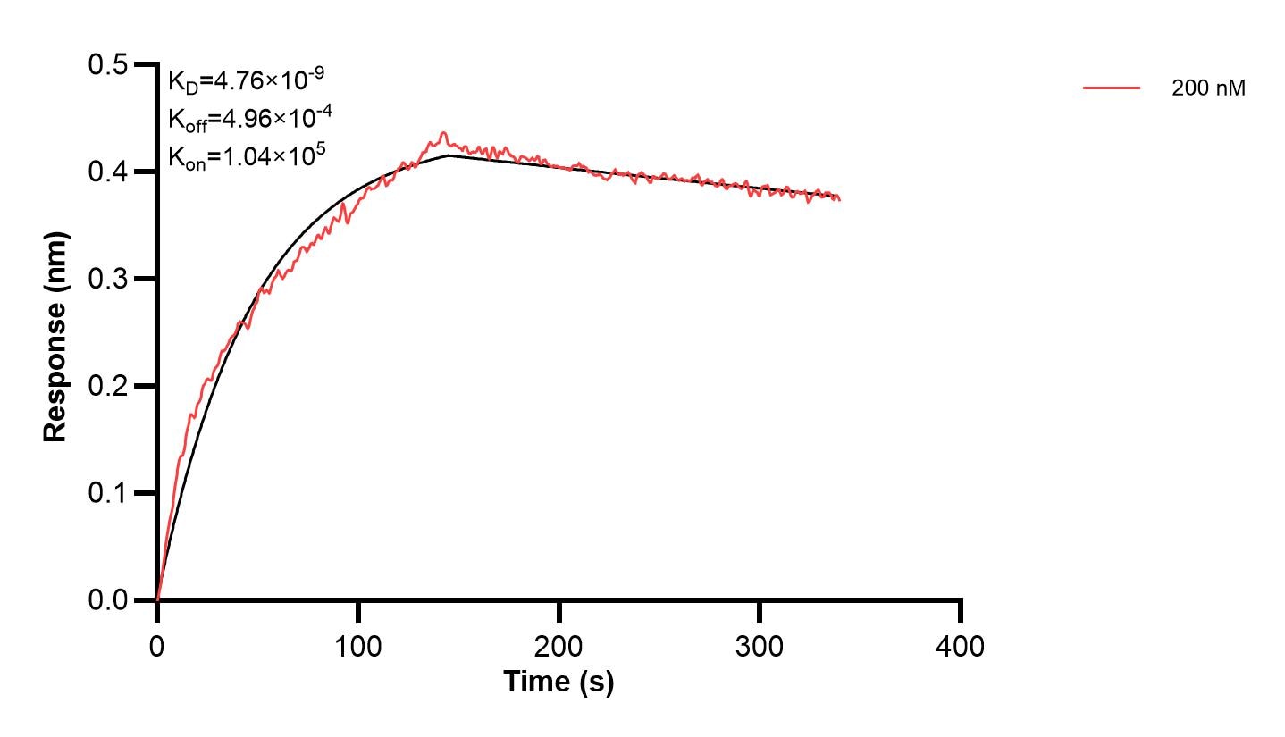 Affinity and Kinetic Characterization of 67063-4-PBS Affinity and Kinetic Characterization of 67063-4-PBS