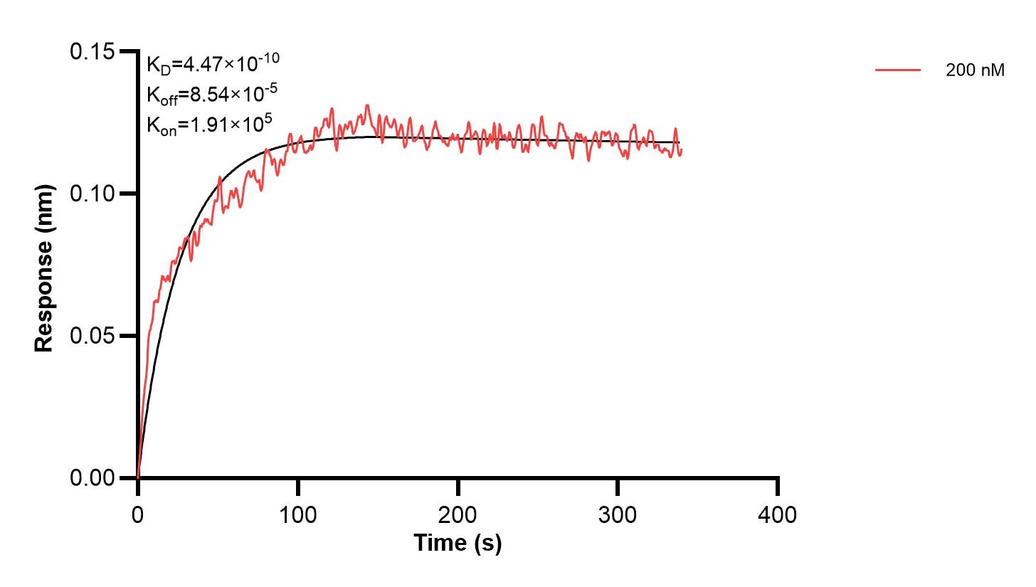 Affinity and Kinetic Characterization of 67063-5-PBS Affinity and Kinetic Characterization of 67063-5-PBS
