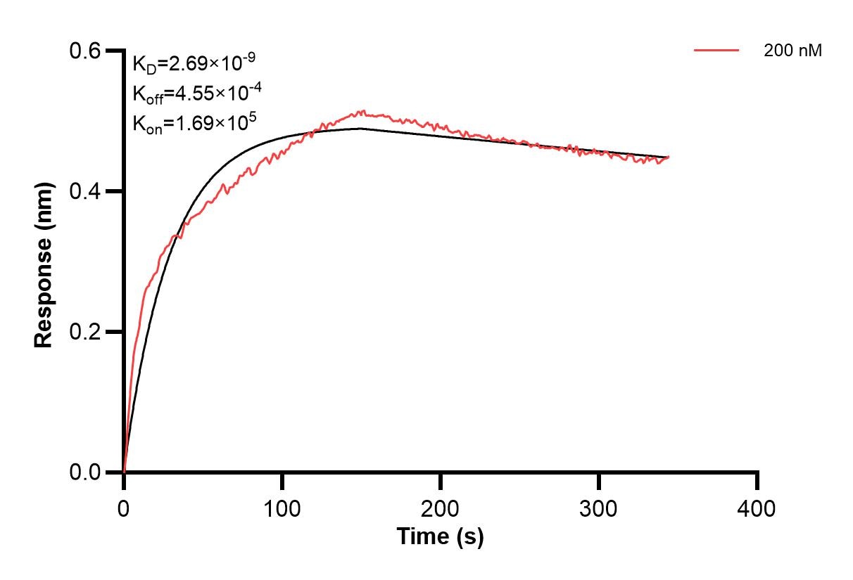 Affinity and Kinetic Characterization of 67083-1-PBS Affinity and Kinetic Characterization of 67083-1-PBS
