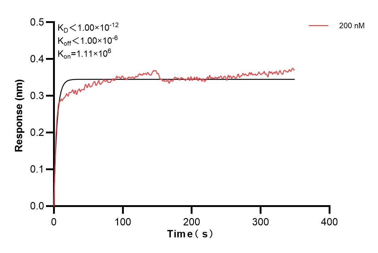 Affinity and Kinetic Characterization of 67129-1-PBS