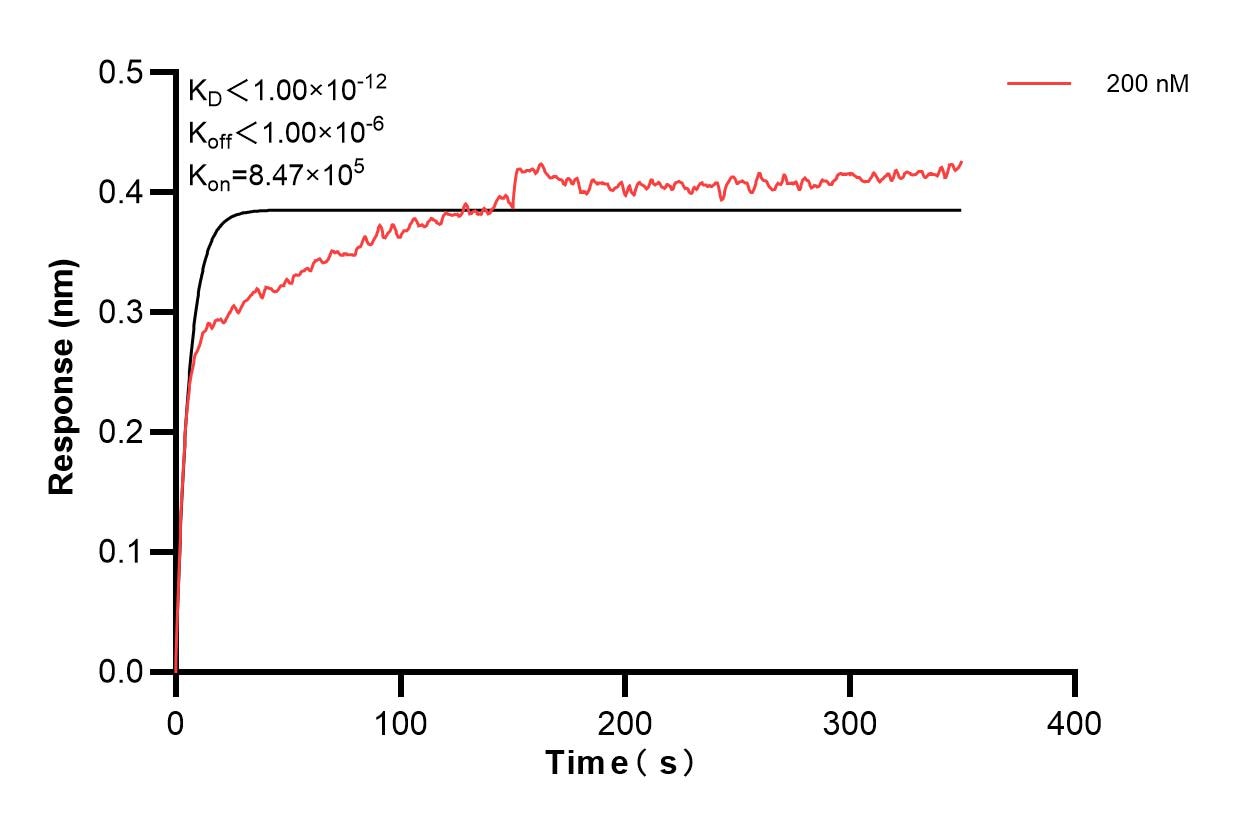Affinity and Kinetic Characterization of 67129-2-PBS Affinity and Kinetic Characterization of 67129-2-PBS