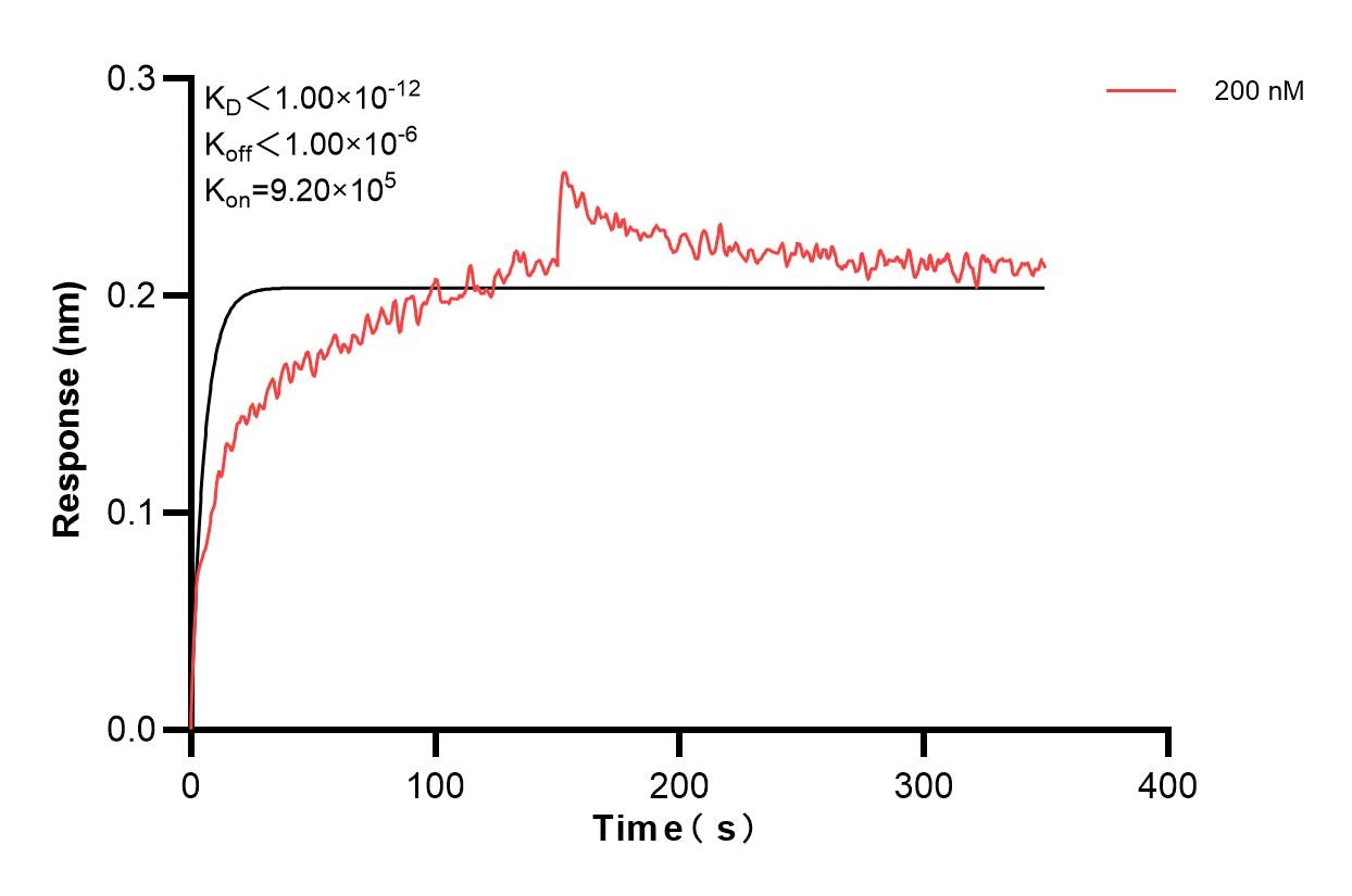 Affinity and Kinetic Characterization of 67129-3-PBS Affinity and Kinetic Characterization of 67129-3-PBS