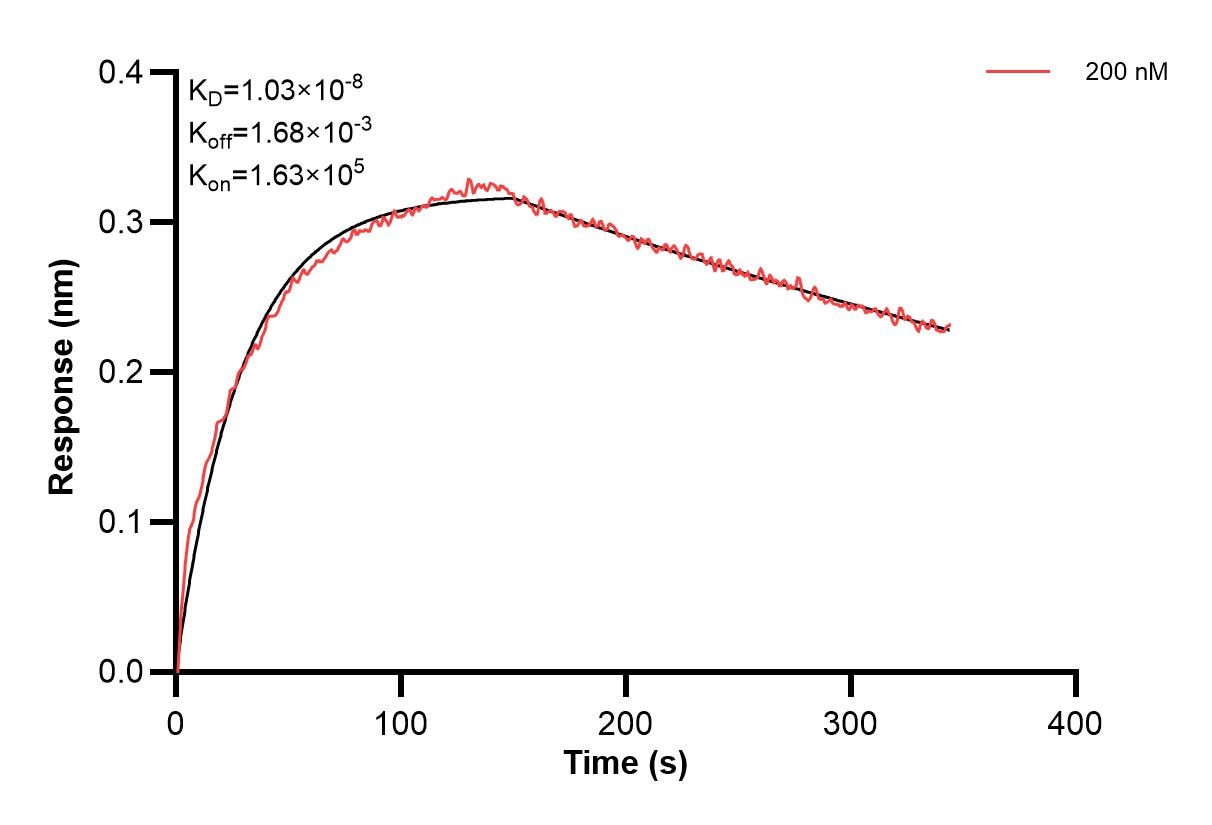Affinity and Kinetic Characterization of 67130-3-PBS