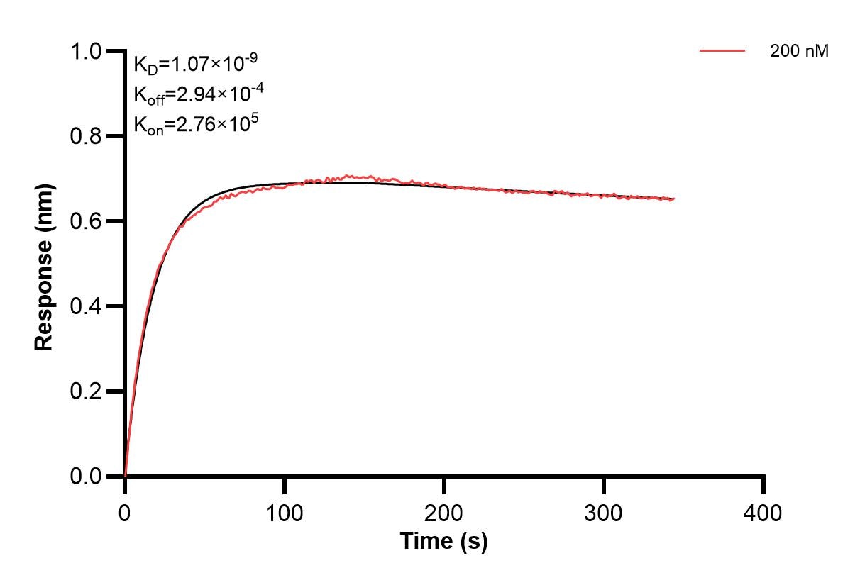 Affinity and Kinetic Characterization of 67130-4-PBS Affinity and Kinetic Characterization of 67130-4-PBS