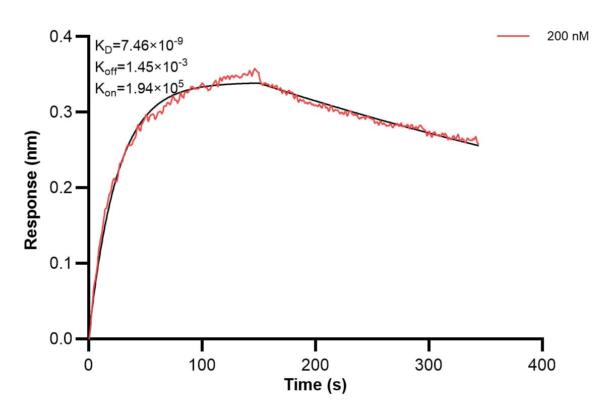 Affinity and Kinetic Characterization of 67130-5-PBS