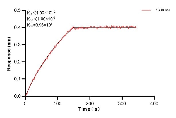 Affinity and Kinetic Characterization of 67147-3-PBS