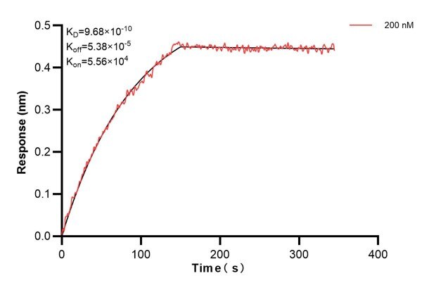 Affinity and Kinetic Characterization of 67147-5-PBS