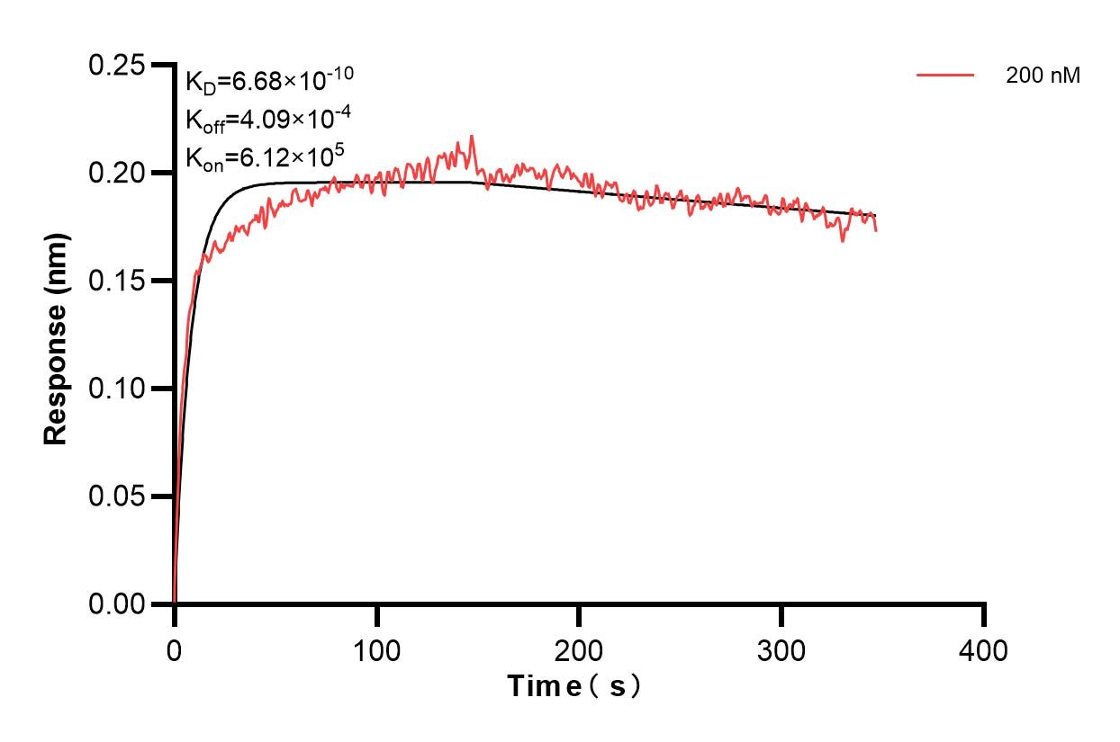 Affinity and Kinetic Characterization of 67205-3-PBS Affinity and Kinetic Characterization of 67205-3-PBS