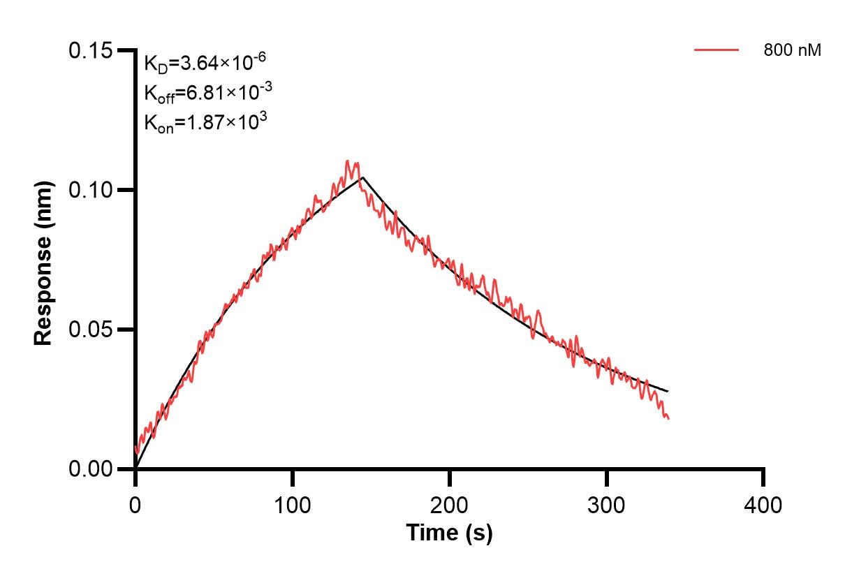 Affinity and Kinetic Characterization of 67241-3-PBS Affinity and Kinetic Characterization of 67241-3-PBS