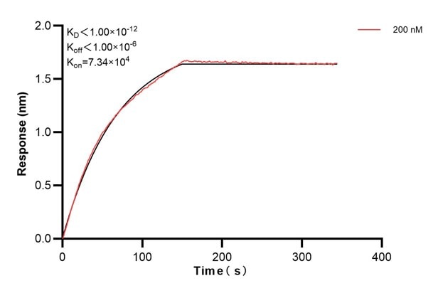 Affinity and Kinetic Characterization of 67245-2-PBS