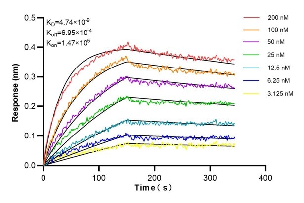 Affinity and Kinetic Characterization of 67261-3-PBS