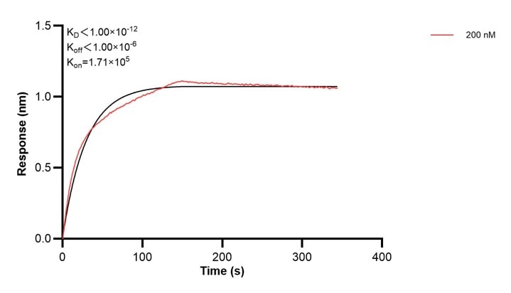 Affinity and Kinetic Characterization of 67327-1-Ig Affinity and Kinetic Characterization of 67327-1-Ig