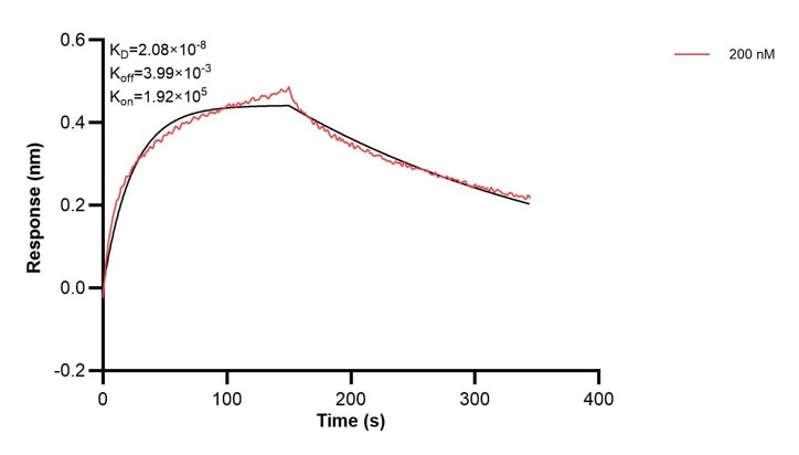 Affinity and Kinetic Characterization of 67327-3-PBS