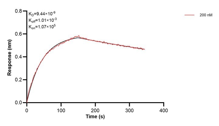 Affinity and Kinetic Characterization of 67327-4-PBS