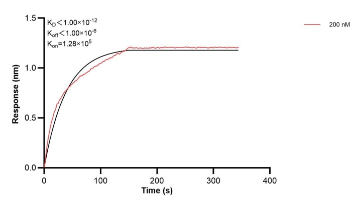 Affinity and Kinetic Characterization of 67327-5-PBS Affinity and Kinetic Characterization of 67327-5-PBS