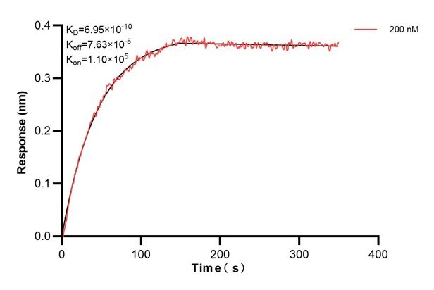 Biolayer interferometry (BLl) kinetic assay of 67346-5-Ig against Human PTGS1 was performed. The affinity constant is 0.695 nM. Affinity and Kinetic Characterization of 67346-5-PBS