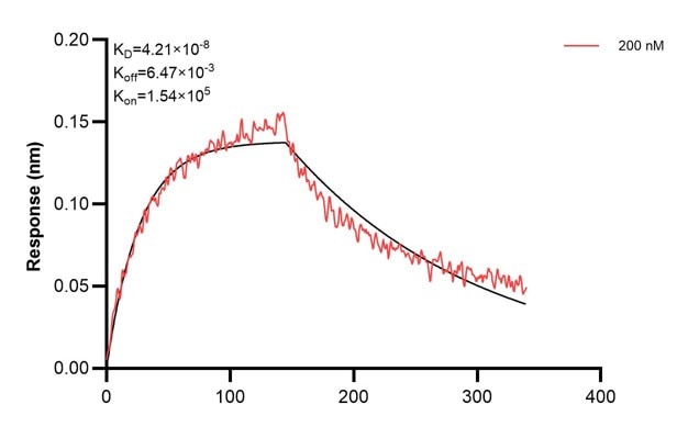 Biolayer interferometry (BLl) kinetic assays of 67370-4-Ig against Human CEP164 were performed. The affinity constant is 42.1 nM. Affinity and Kinetic Characterization of 67370-4-PBS