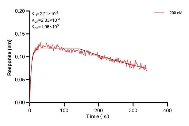 Biolayer interferometry (BLl) kinetic assays of 67370-6-Ig against Human CEP164 were performed. The affinity constant is 2.21 nM. Affinity and Kinetic Characterization of 67370-6-PBS