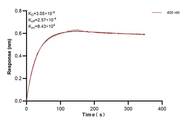 Affinity and Kinetic Characterization of 67373-3-PBS Affinity and Kinetic Characterization of 67373-3-PBS