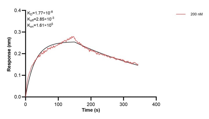 Affinity and Kinetic Characterization of 67384-3-PBS Affinity and Kinetic Characterization of 67384-3-PBS