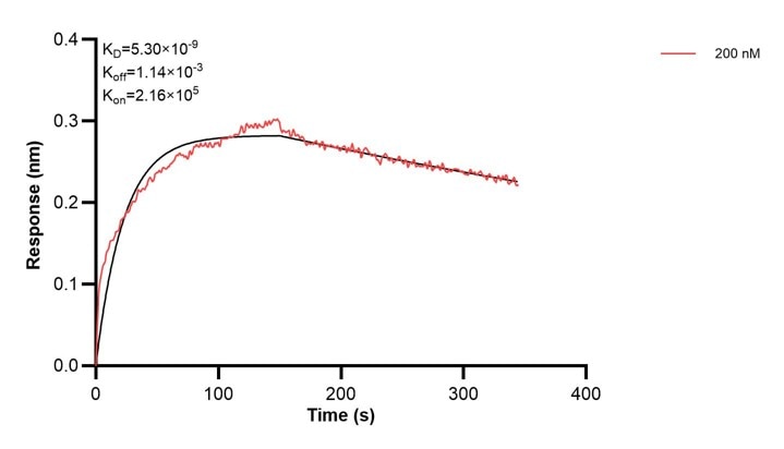 Affinity and Kinetic Characterization of 67384-4-PBS