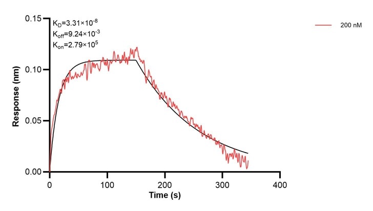 Affinity and Kinetic Characterization of 67384-5-PBS Affinity and Kinetic Characterization of 67384-5-PBS