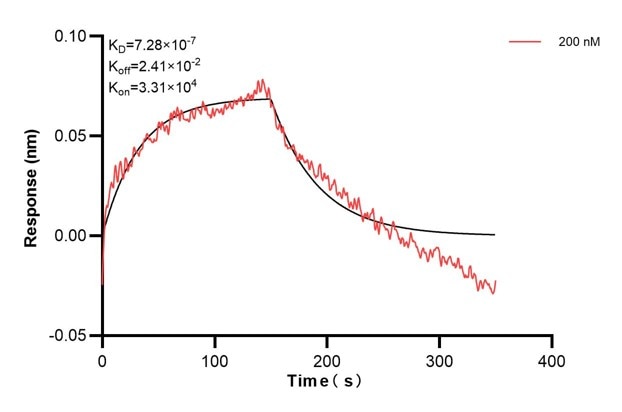 Affinity and Kinetic Characterization of 67394-1-Ig