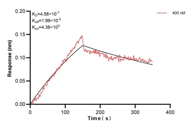 Affinity and Kinetic Characterization of 67394-2-PBS