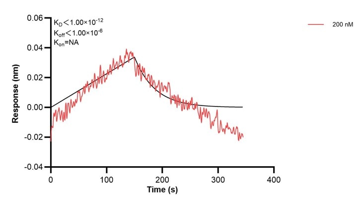Affinity and Kinetic Characterization of 67399-3-PBS Affinity and Kinetic Characterization of 67399-3-PBS