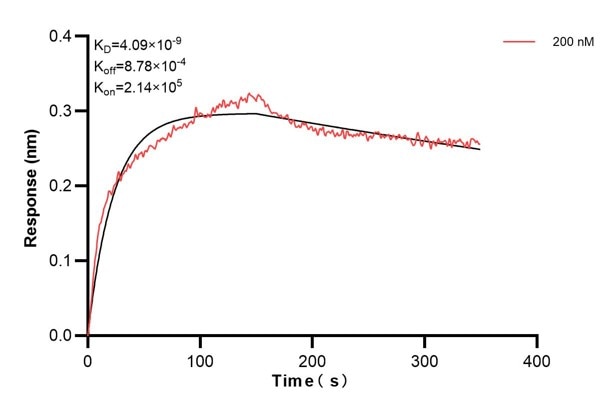 Affinity and Kinetic Characterization of 67411-3-PBS