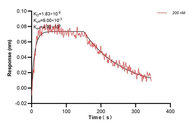 Affinity and Kinetic Characterization of 67411-5-PBS