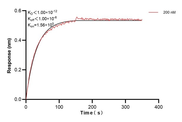 Affinity and Kinetic Characterization of 67428-3-PBS