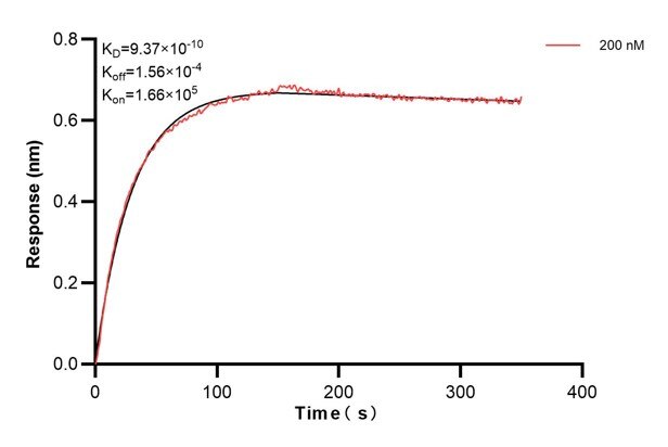 Affinity and Kinetic Characterization of 67428-5-PBS