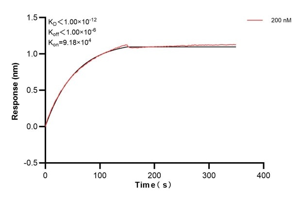 Affinity and Kinetic Characterization of 67450-2-PBS Affinity and Kinetic Characterization of 67450-2-PBS