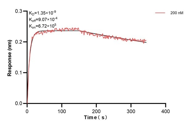 Affinity and Kinetic Characterization of 67457-3-PBS