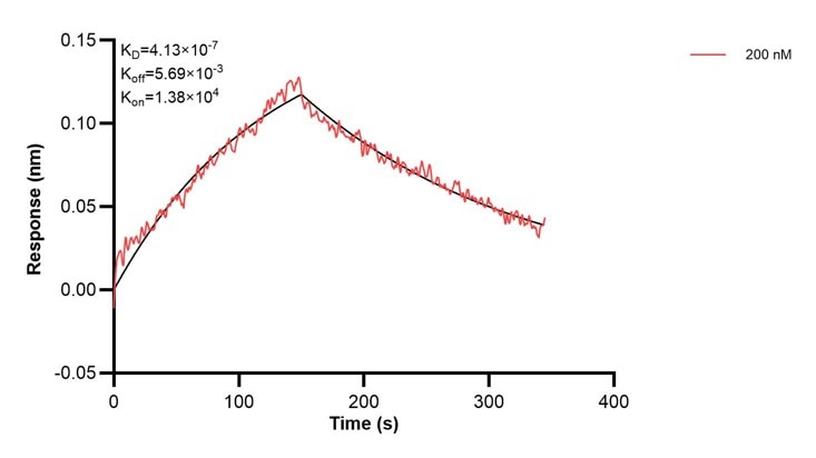 Affinity and Kinetic Characterization of 67486-1-PBS Affinity and Kinetic Characterization of 67486-1-PBS