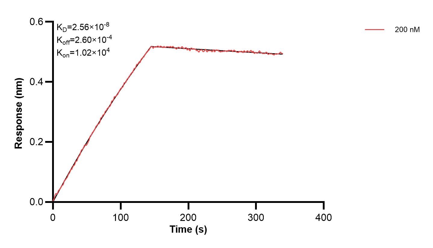 Affinity and Kinetic Characterization of 67527-2-PBS