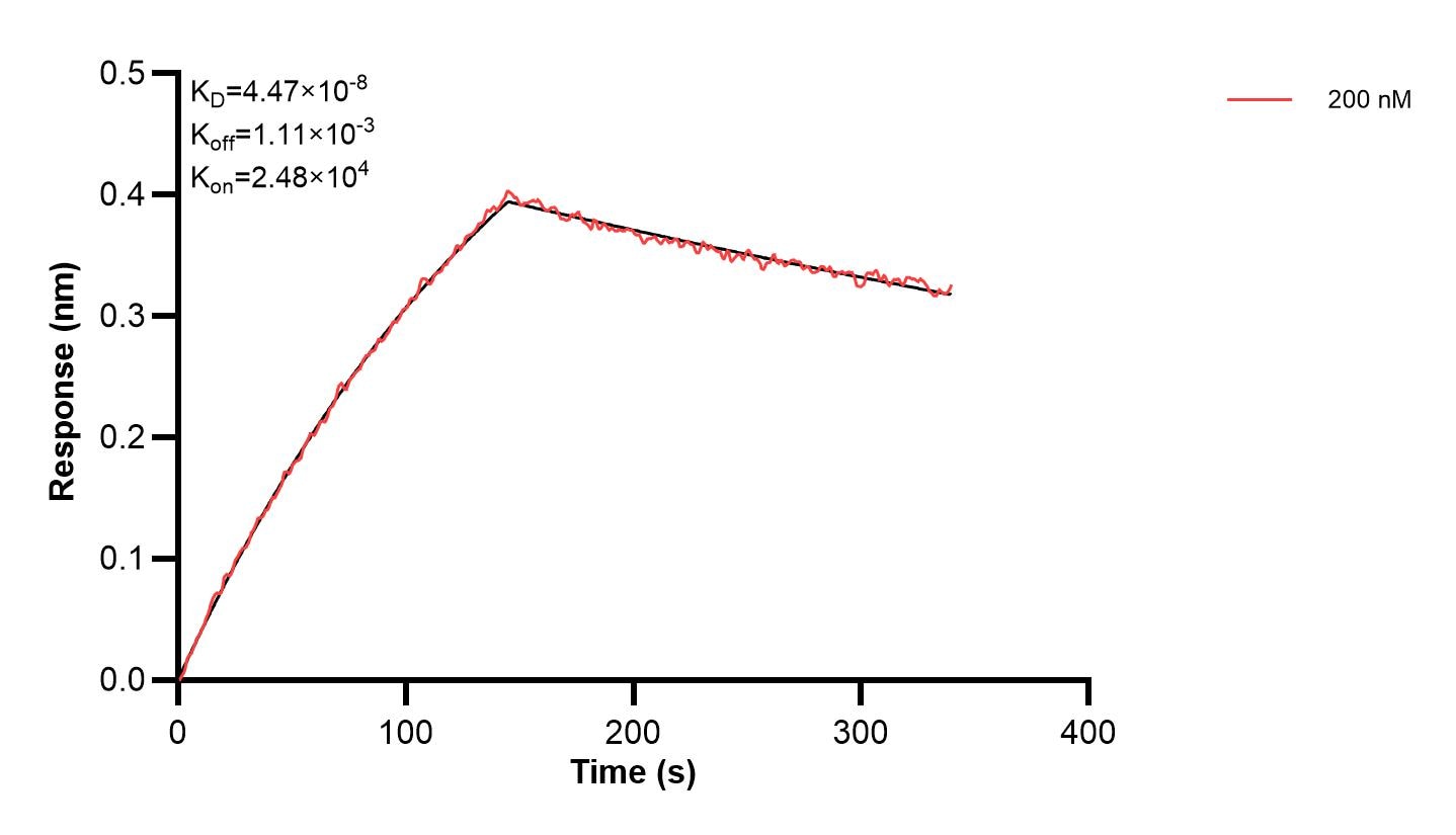 Affinity and Kinetic Characterization of 67527-3-PBS