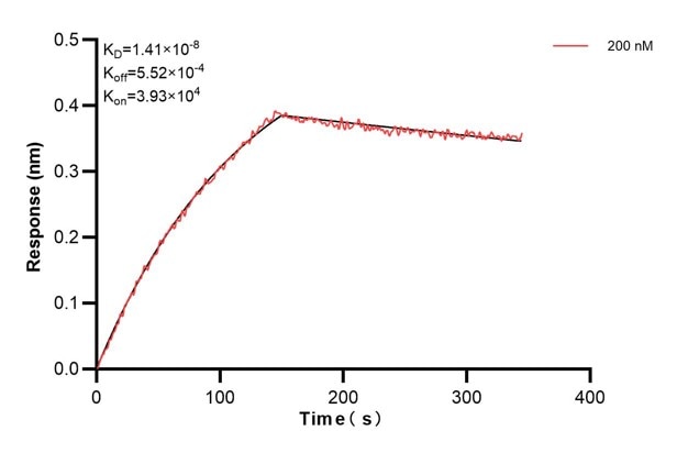 Affinity and Kinetic Characterization of 67532-2-PBS