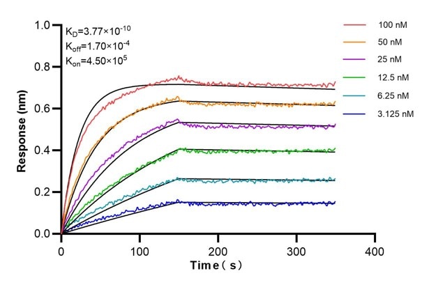 Affinity and Kinetic Characterization of 67563-2-PBS
